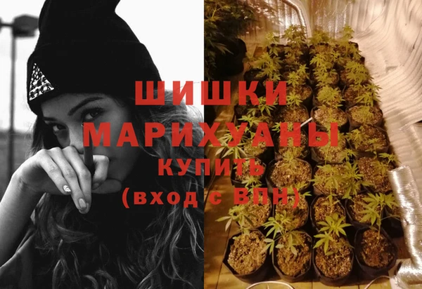 спайс Ладушкин