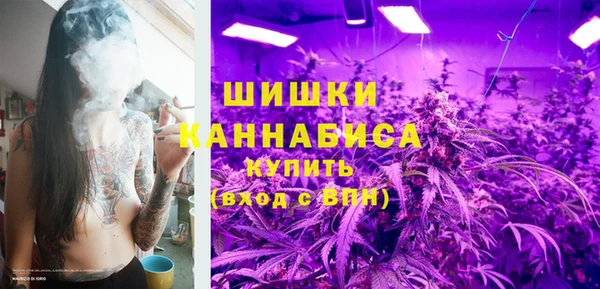 шишки Лагань