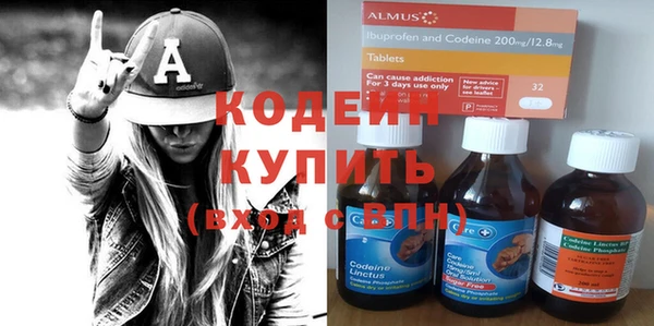 шишки Лагань