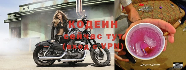 шишки Лихославль
