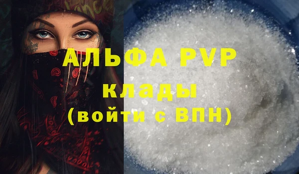 спайс Ладушкин