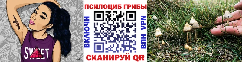 купить закладку  Прокопьевск  Псилоцибиновые грибы Magic Shrooms 
