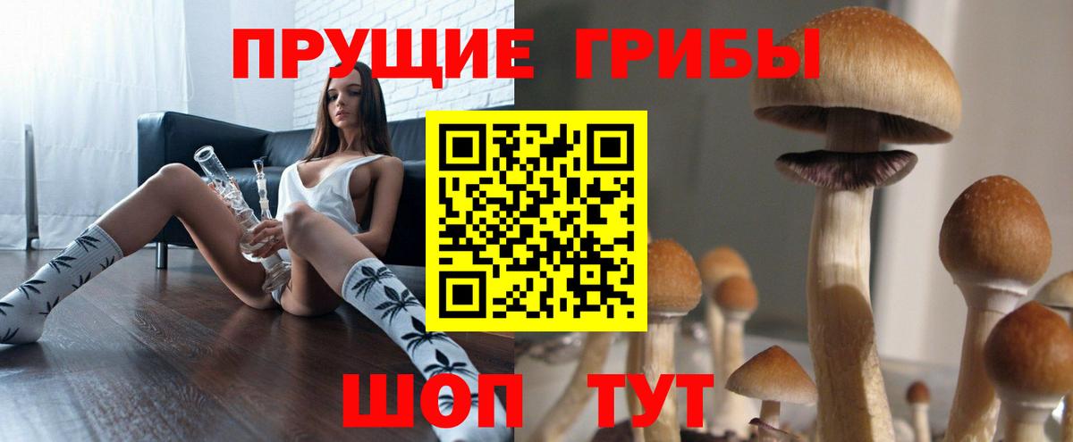 Прокопьевск  Галлюциногенные грибы прущие грибы  Вход с VPN 