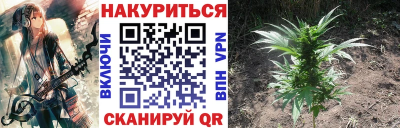 Марихуана план  Прокопьевск 
